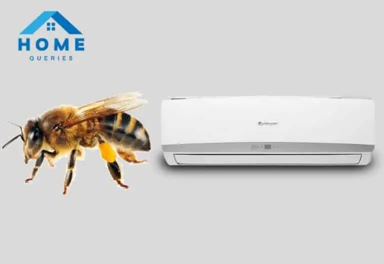 Will Air Conditioner Kill Bees? Let’s Find Out