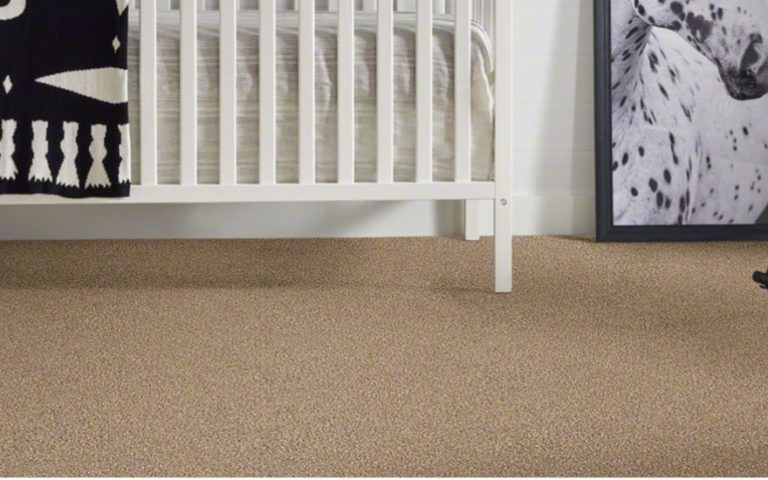 Best Frieze Carpet: 8 Frieze Carpet Reviews