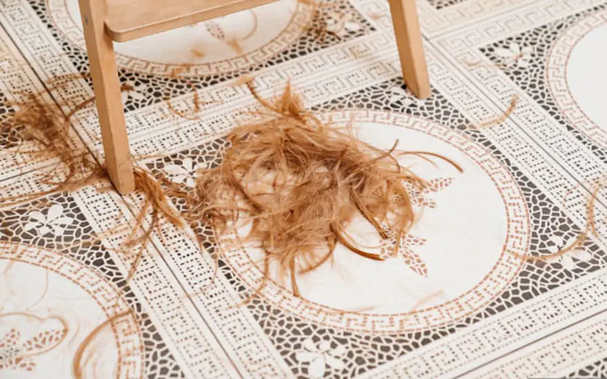 How to clean fallen hair on the floor?
