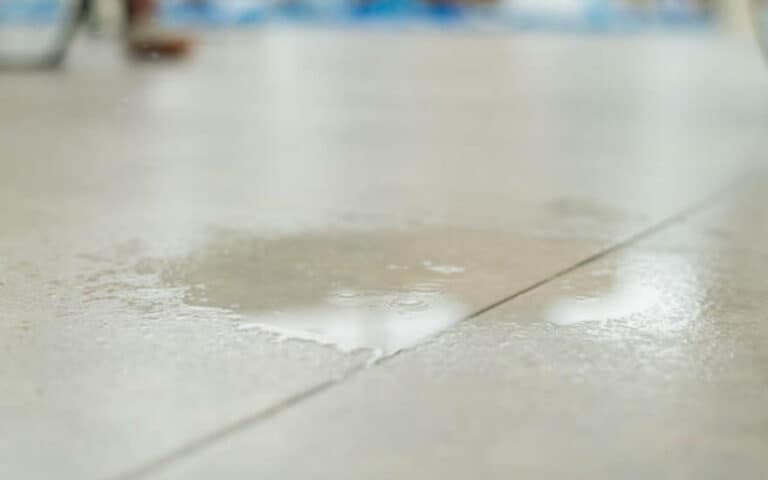 10 Simple Ways to Remove Stains from Shower Floor