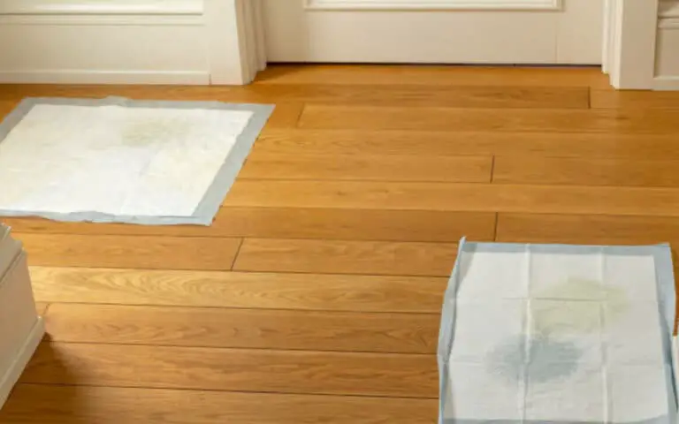 Pros and Cons of Popular Bathroom Flooring options