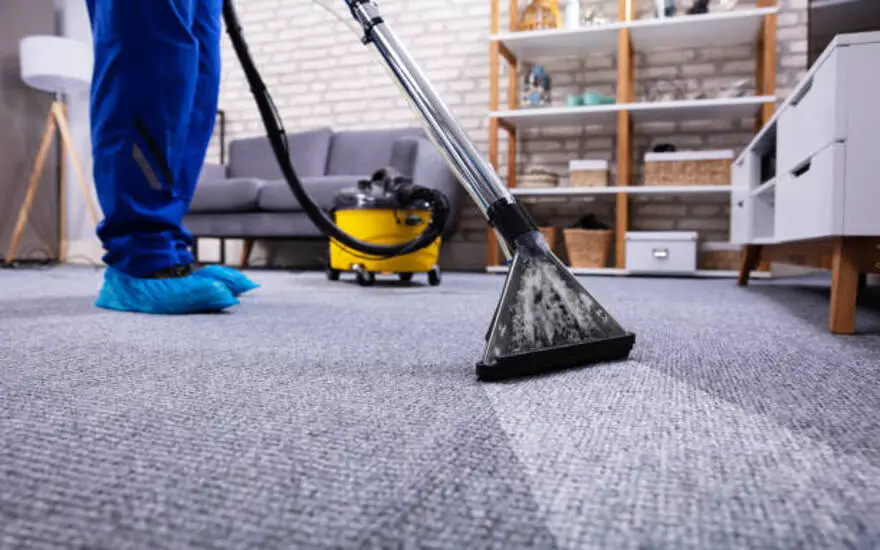 How To Use A Carpet Cleaner: Step By Step