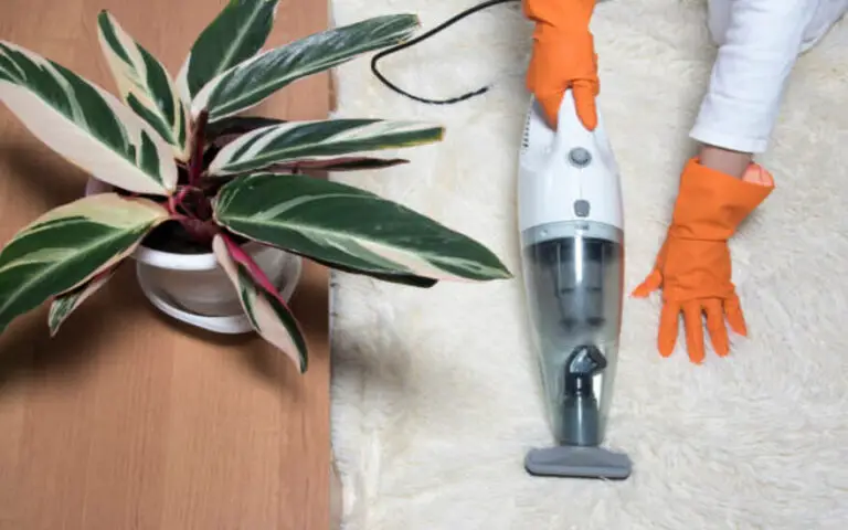 Can You Use A Carpet Cleaner On A Mattress?