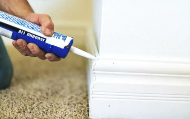 Can you paint Carpet: Here’s how (Complete Guide)