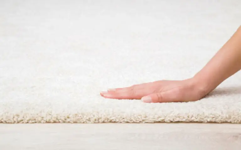 How Often Should You Clean Your Carpet?