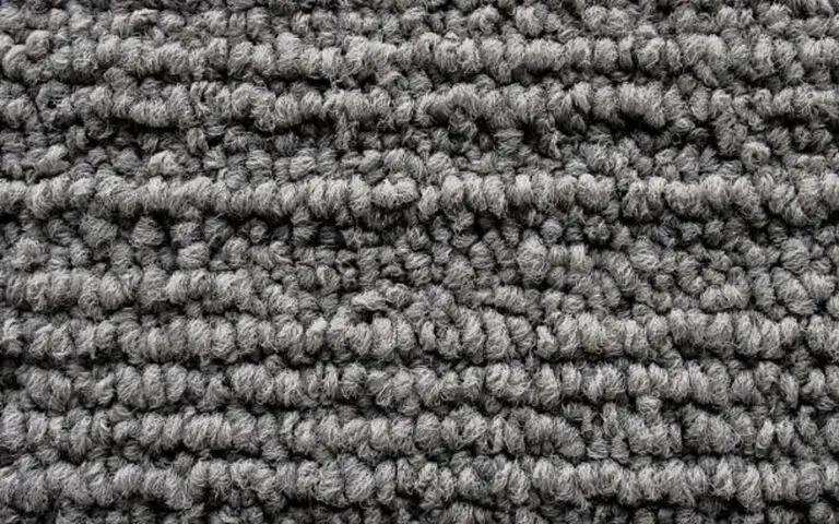 What Is Carpet Pile: 7 types